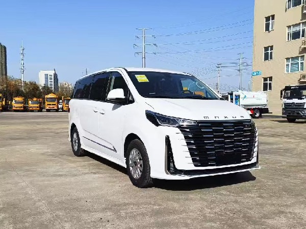 大通G10 自動(dòng)擋檢測車（商務(wù)版）