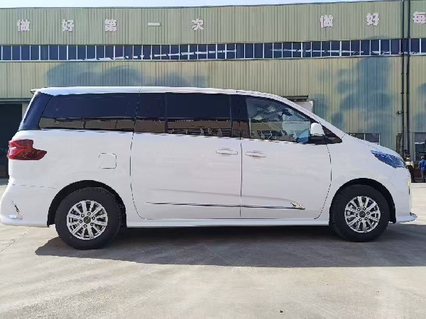 大通G10 自動擋檢測車（商務版）